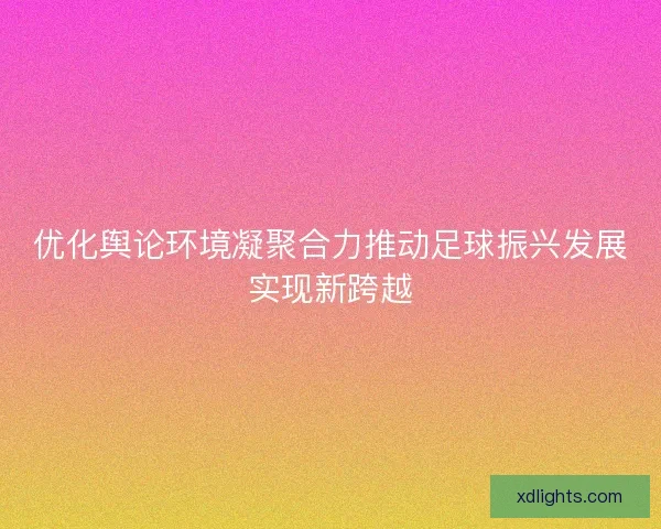 优化舆论环境凝聚合力推动足球振兴发展实现新跨越
